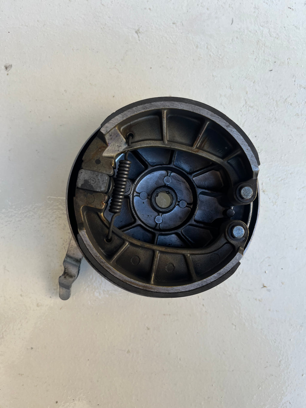Bremsschild hinten