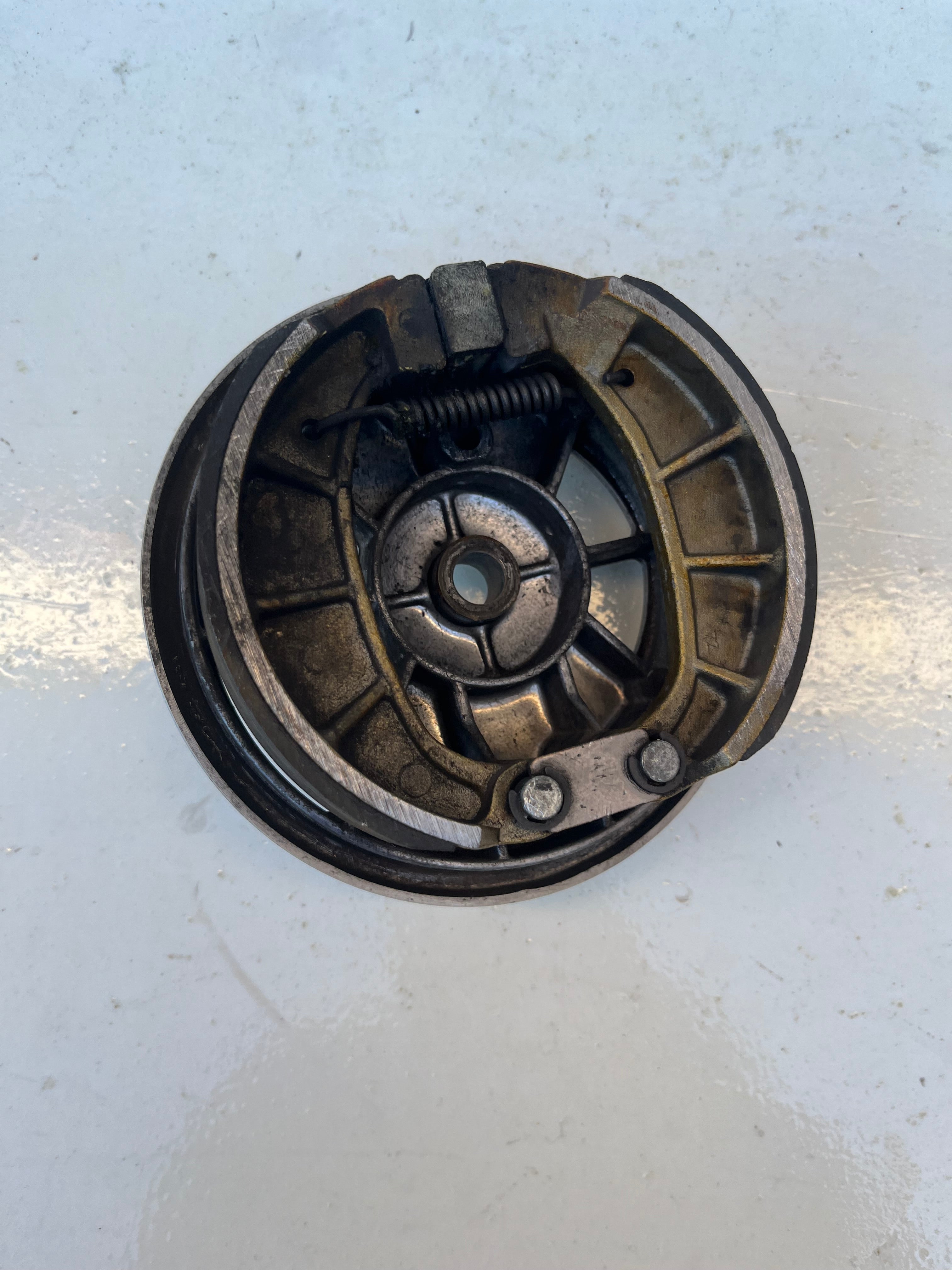 Bremsschild hinten